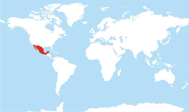 map of Mexico global