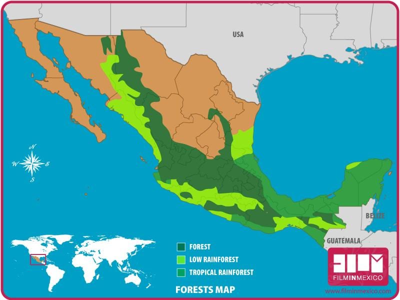 map of Mexico forests