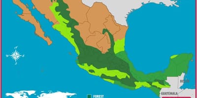 Map of Mexico forests