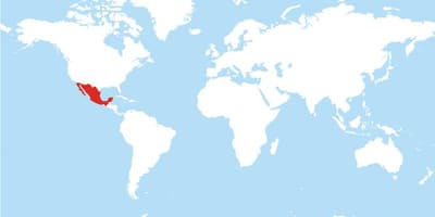 Location of Mexico in world map